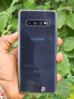 A picture of SAMSUNG S10 plus