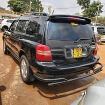 A picture of KLUGER 2004 21M