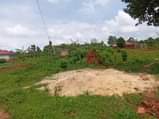 A picture of Buloba mityana rd plot on quick sale
