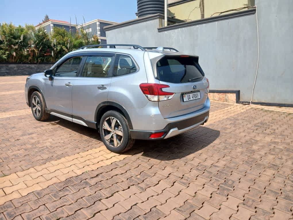 A picture of Forester 2019
