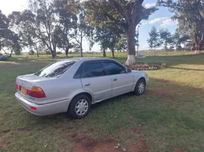 used toyota corolla