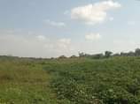 A picture of Matugga kilolo