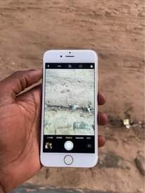 A picture of iPhone 6S
