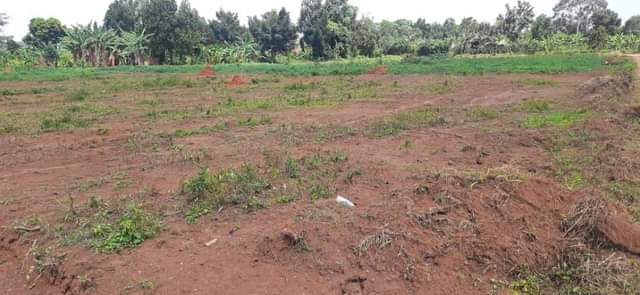 A picture of AFFORDABLE PLOTS IN WAKISO TOWN NKOWE