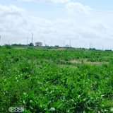 plots mariakani