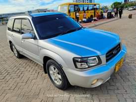 A picture of SUBARU FORESTER
