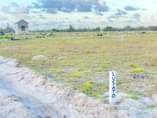 A picture of TUNAUZA VIWANJA VIKINDU VIANZI BEI POA KUONA SITE BURE USAFIRI