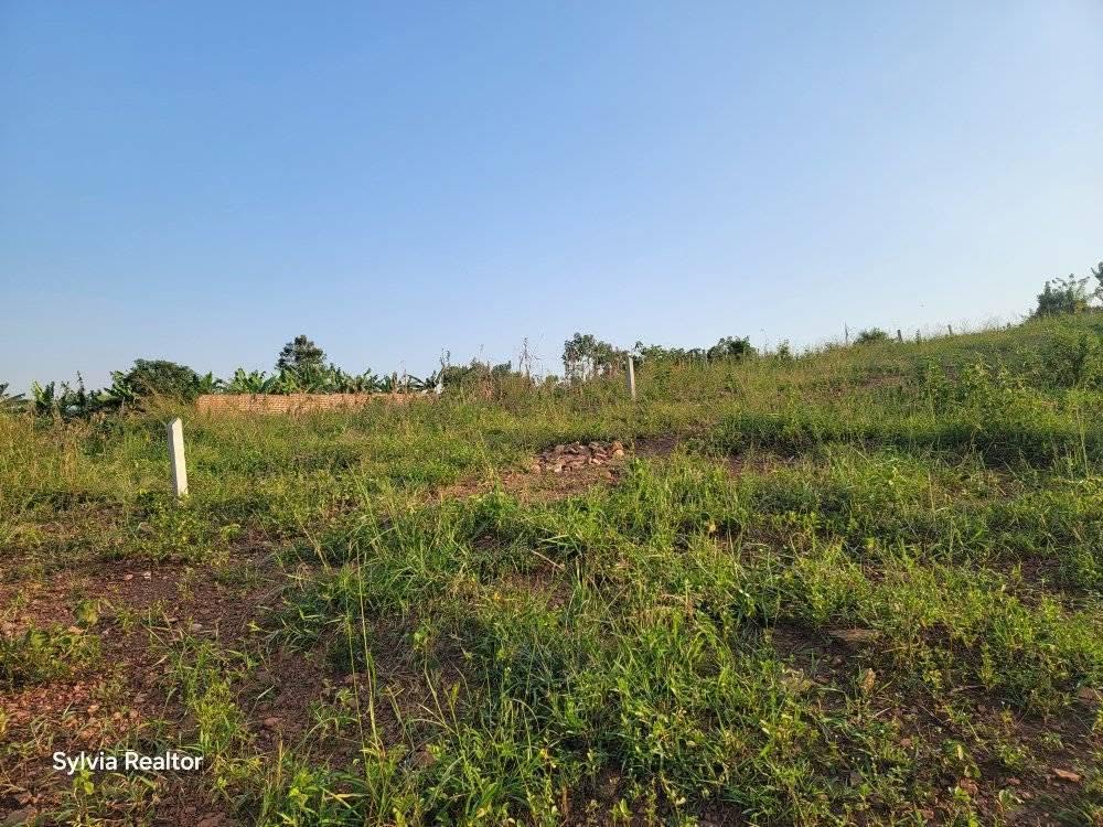 A picture of PLOTS FOR SALE AT 4 M UGX ONLY