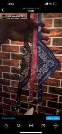 A picture of COLLARS FOR DOGS AND CATS