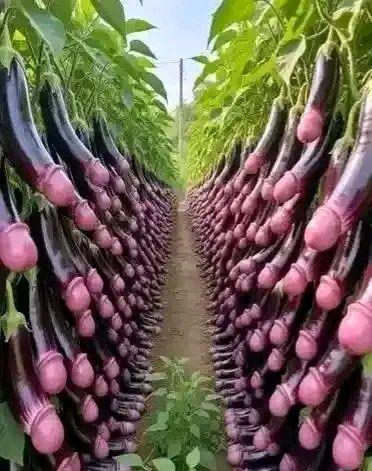 A picture of Nawewe mugihe Ufise ivyo wibwe Canke nikin