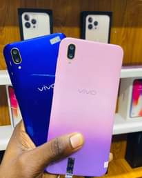 A picture of VIVo