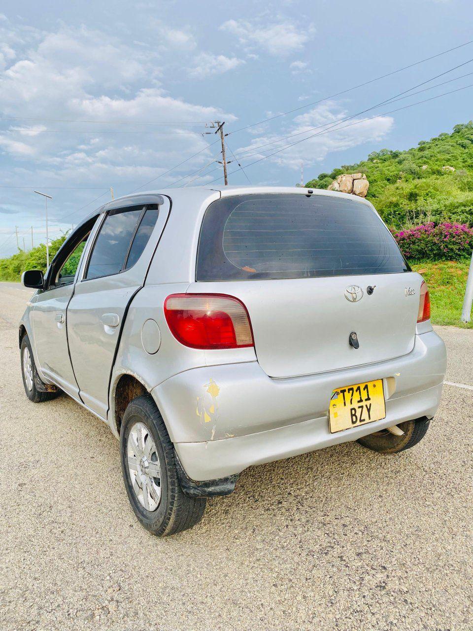 A picture of Vitz