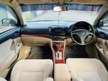 A picture of Premio new model