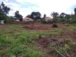 A picture of PLOTS IN MATUGGA TOWN SUITABLE FOR RENTALS AND RESIDENTIAL ESTABLISHMENTS