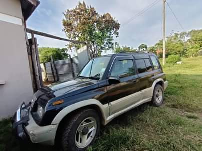 A picture of Suzuki Escudo
