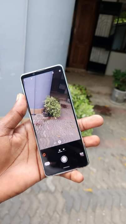 A picture of SONY XPERIA 5 ii. 5g