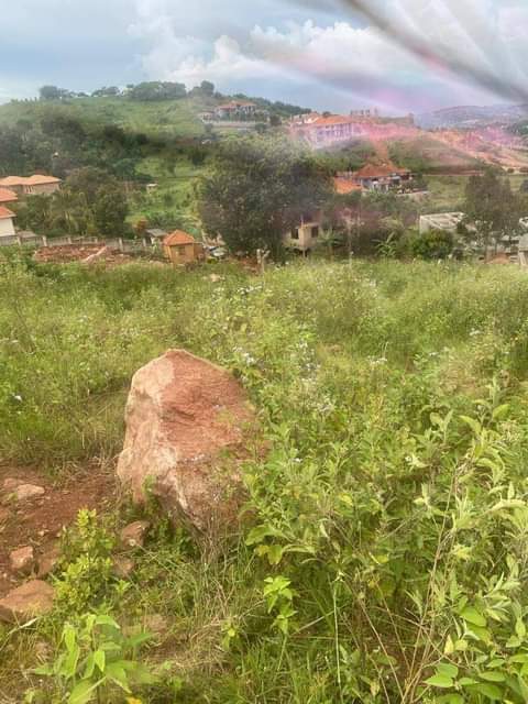 A picture of Plot