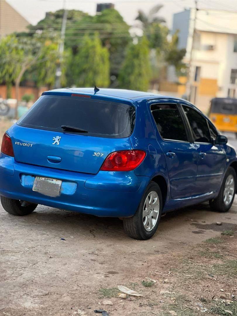 A picture of PEUGEOT 307 MANUAL