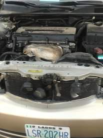 A picture of 2004 Toyota Camry