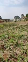 A picture of Nice lake view Acre for sale at Entebbe