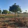 A picture of VIWANJA VINAUZWA VIPO GEZA ULOLE WILAYA YA KIGAMBONI MKOA WA
