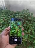 A picture of samsung s10 plain
