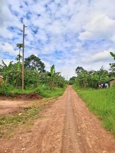 A picture of Land for sale at Kapeeka luwero 10 acres each at