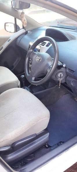 A picture of Vitz