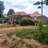 A picture of CHRISTMAS OFFER 50BY100 AT 7M ONLY AGREEMENT LAND