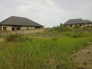 Barimah K.