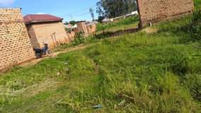 A picture of LAND