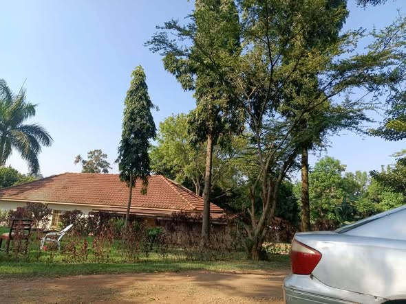 A picture of GOOD DEAL 60 DECIMALS KYAMBOGO ESTATE AT 1 6B
