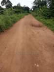 A picture of 10 fertile acres for sale all at 90m with electricity