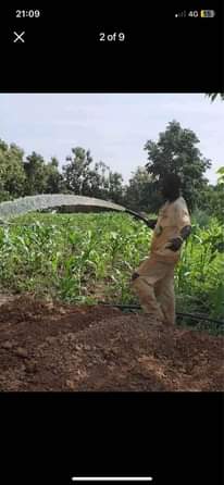 A picture of Fresh underground water