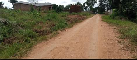 A picture of Busukuma plots on sale 25km from Kampala they are only