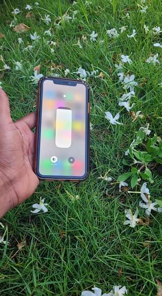 A picture of Iphone 11 Plain