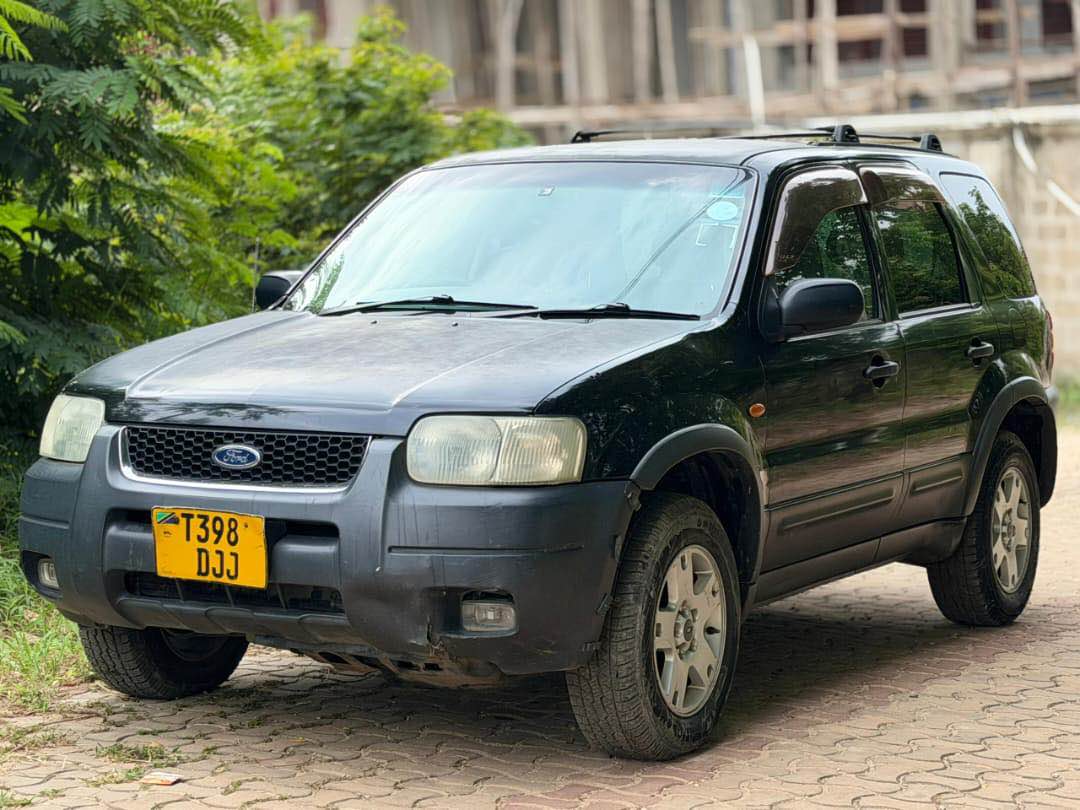 A picture of Ford escape