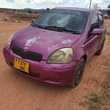 A picture of Vitz