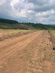 A picture of Mityana Rd Estate 50by100 with title At 20m