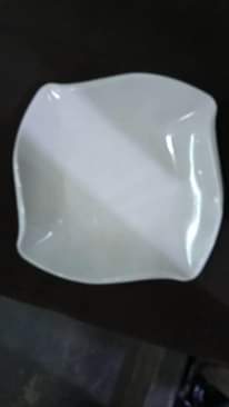 A picture of platesin