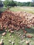A picture of Im selling cobble bricks for paving 0719213912