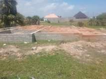 A picture of kiwanja nauza