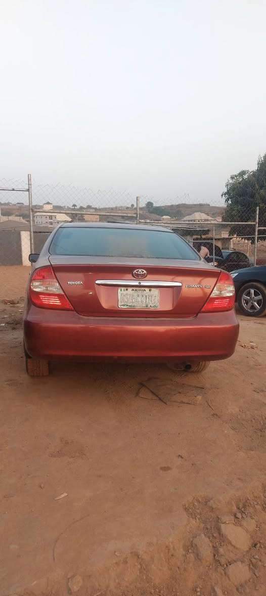 A picture of Camry Big daddy