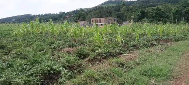 A picture of Land for quick sale
