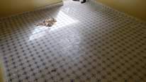 A picture of KAWAALA 15SINGLE ROOMS ON QUICK SALE