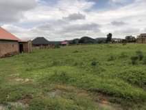 A picture of Kakiri Mwera Estate