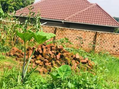 A picture of Wakiso