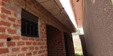 A picture of Kawanda single rooms with store for sale