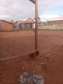 A picture of Land for sale in nalukolongo Kabakas land it s seated