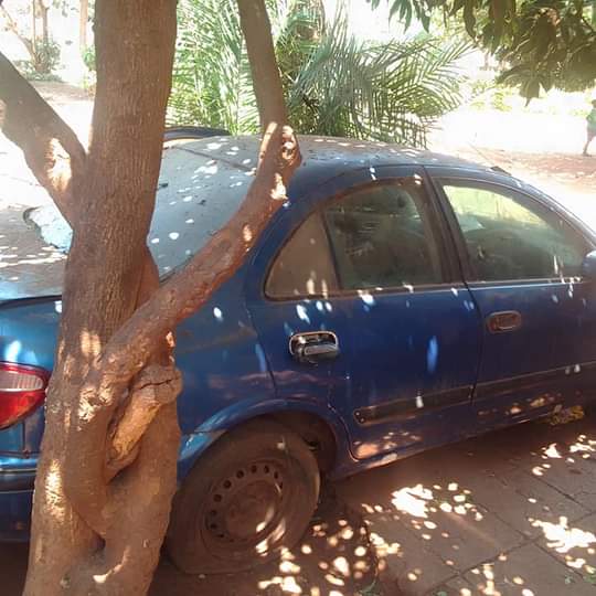 used nissan sunny